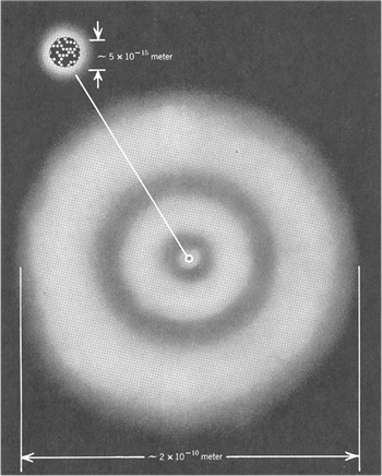 Electric Charge_3.gif